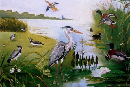 De reiger